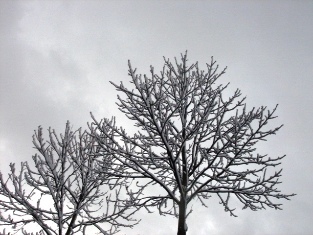 f0131535_69766.jpg