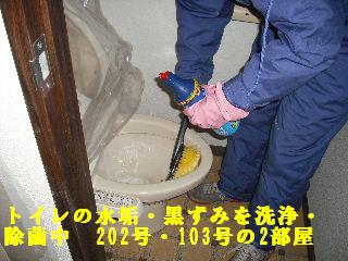 樹脂ワックス・ほか_f0031037_17573777.jpg