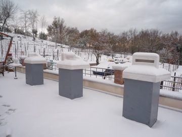 雪が積もりました_d0136540_22412288.jpg