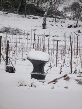 雪が積もりました_d0136540_22495310.jpg