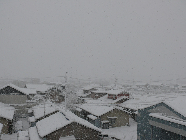 b0088444_21182785.jpg