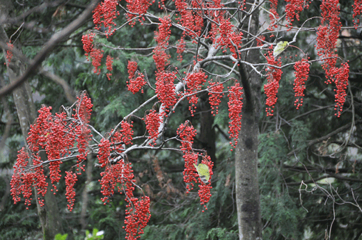 c0093046_1447515.gif