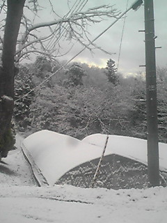 c0217246_13502348.jpg