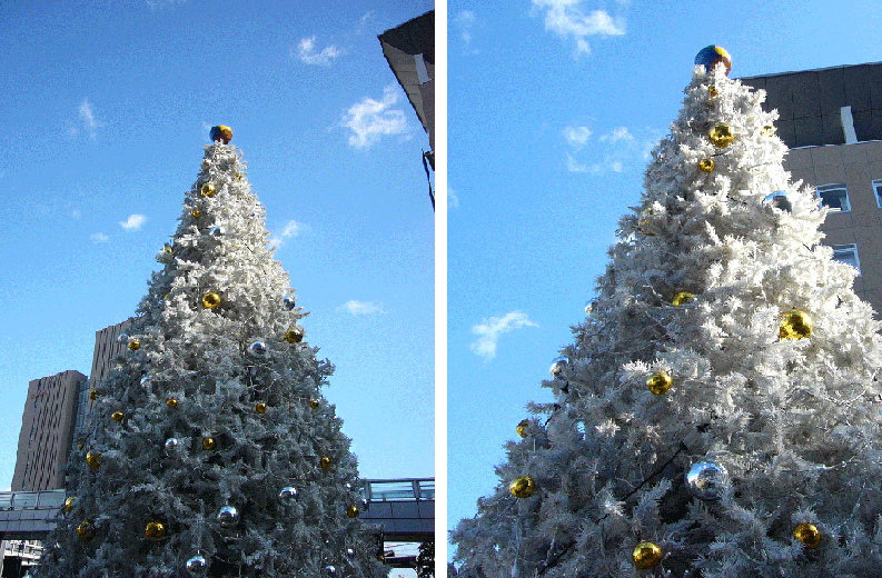 c0225153_16381363.gif