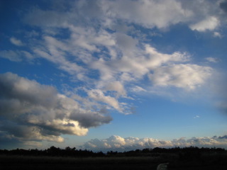 b0160957_7545635.jpg