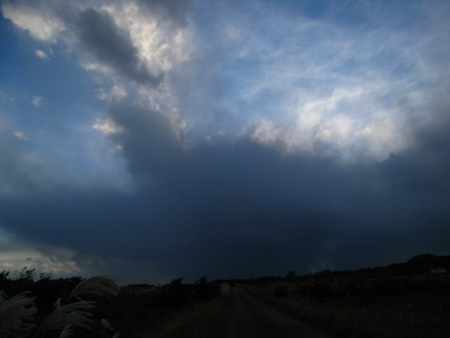 b0160957_7553799.jpg