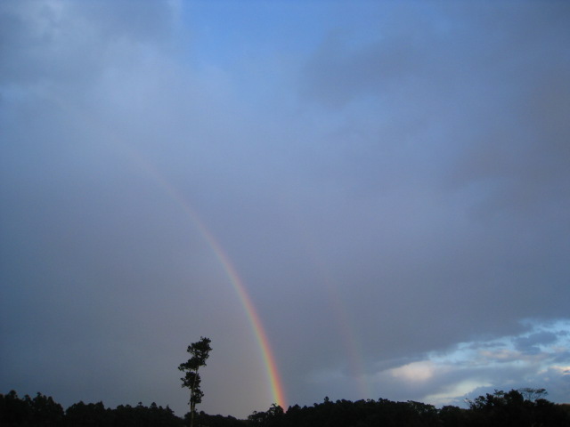 b0160957_7584555.jpg