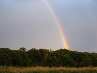 b0160957_803566.jpg