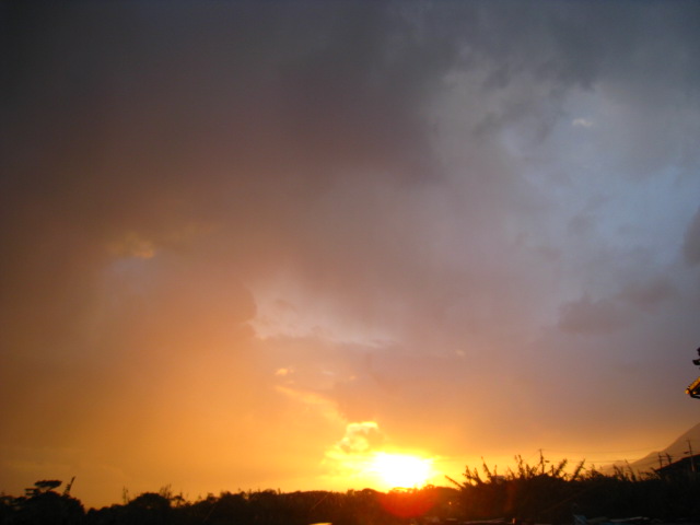 b0160957_813919.jpg