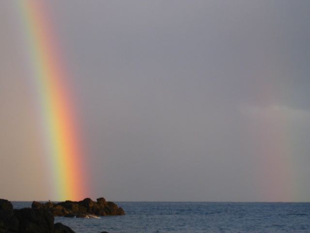 b0160957_841368.jpg