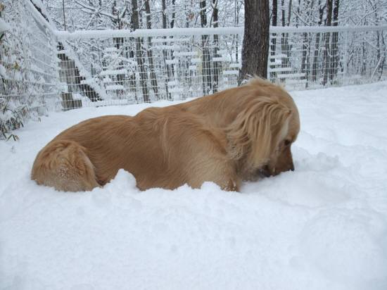 那須…大雪かなぁ？ｂｙ ＹＯＵ_e0157858_1111776.jpg