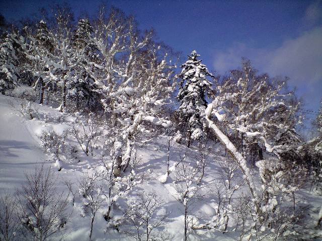 札幌国際スキー場★2日目_c0151965_1535241.jpg