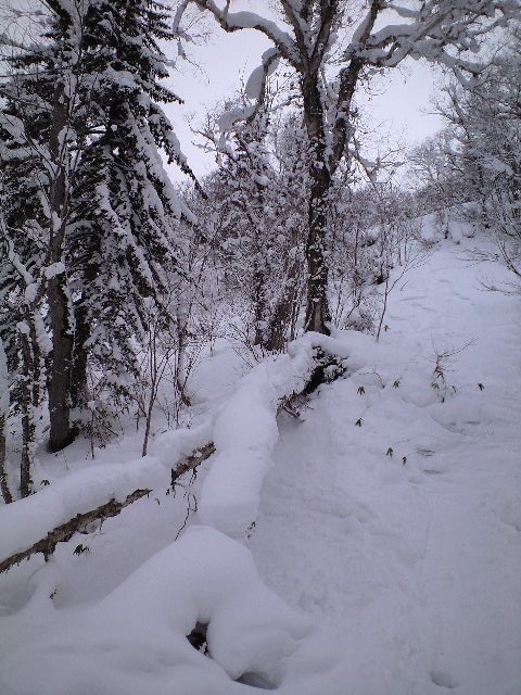 札幌国際スキー場★2日目_c0151965_1565560.jpg