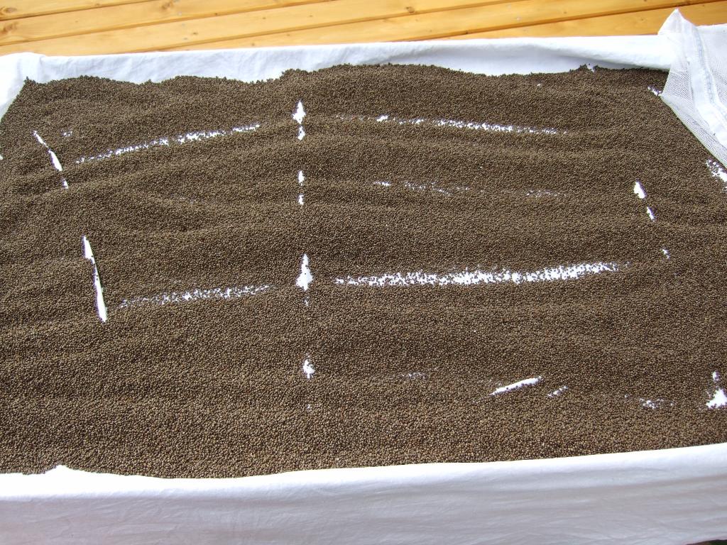 e0151471_16284646.jpg