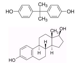 BPA　微量でもラットの腸に問題を引き起こす　フランス研究チームが新発見　農業情報研究所_c0139575_22391277.jpg