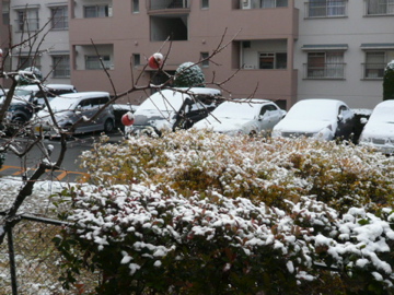 b0141878_11485551.jpg