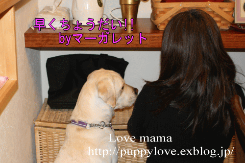 b0136683_18123915.gif