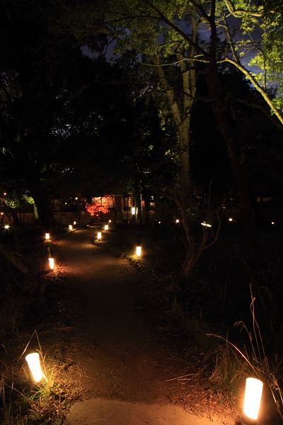 嵐山花灯路 -大覚寺・大沢池-_e0051888_22335260.jpg