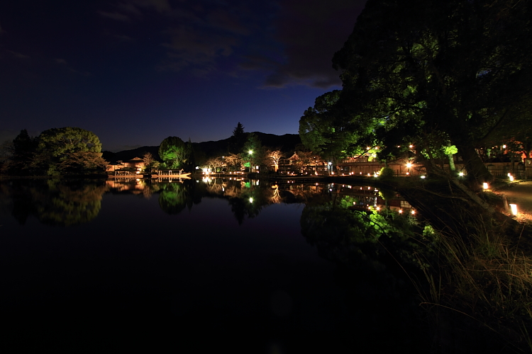 嵐山花灯路 -大覚寺・大沢池-_e0051888_22341615.jpg