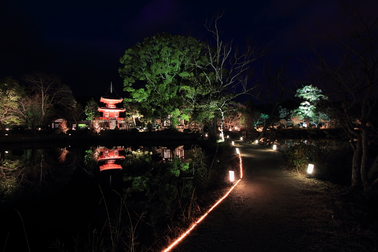 嵐山花灯路 -大覚寺・大沢池-_e0051888_22343551.jpg