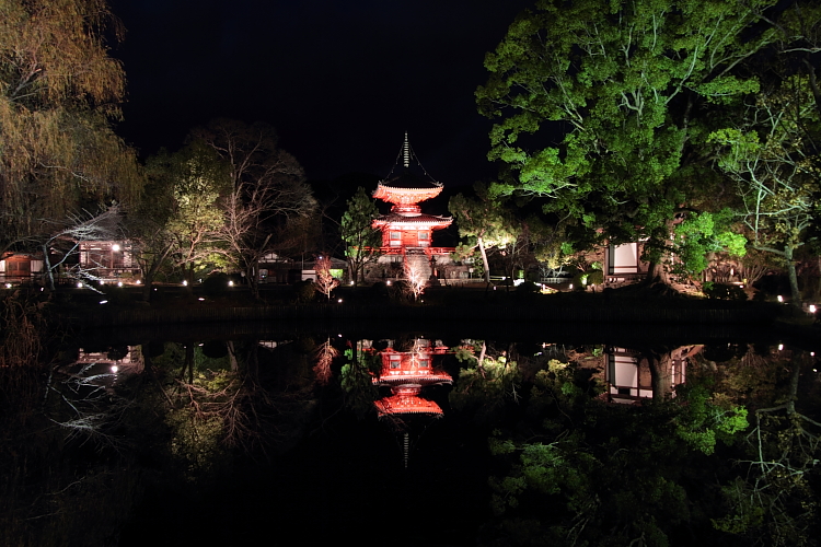 嵐山花灯路 -大覚寺・大沢池-_e0051888_22345386.jpg