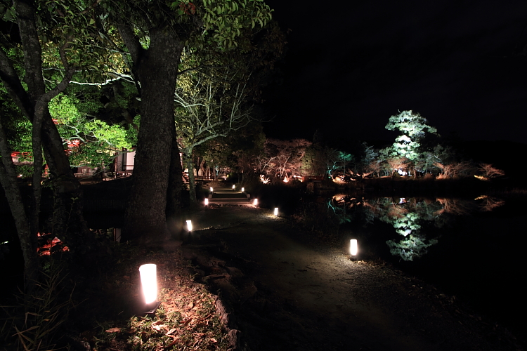 嵐山花灯路 -大覚寺・大沢池-_e0051888_22351358.jpg