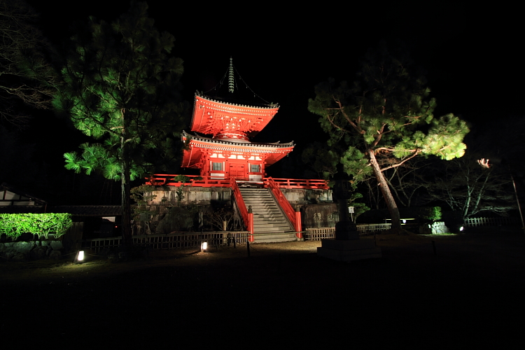 嵐山花灯路 -大覚寺・大沢池-_e0051888_22352725.jpg