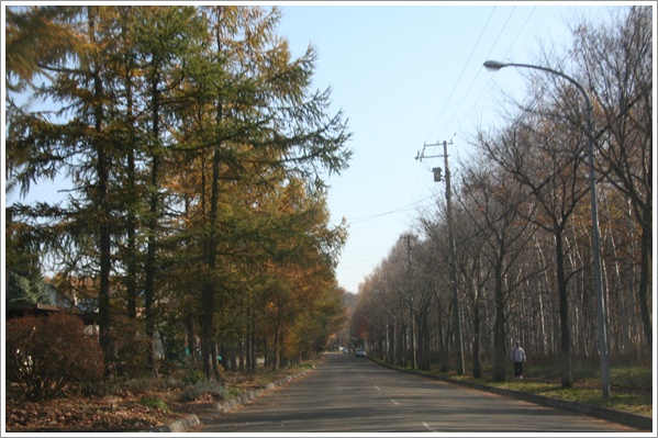 f0146493_02485.jpg