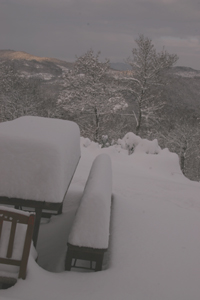 雪に埋もれています_f0106597_1954588.jpg