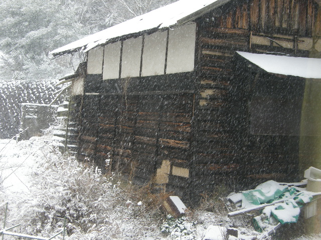 朝の雪が降る_c0108198_16294116.jpg