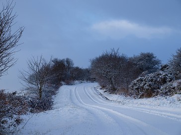 朝目が覚めると、なんと初雪で真っ白でした_b0110999_19472838.jpg