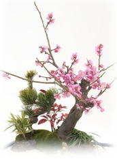 第8回お茶を楽しむ会_a0146912_02258.jpg