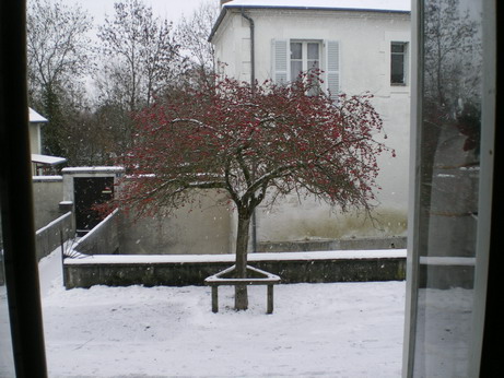 c0124619_21364388.jpg