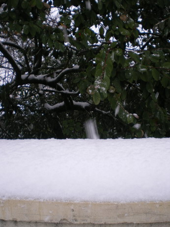 c0124619_21382358.jpg