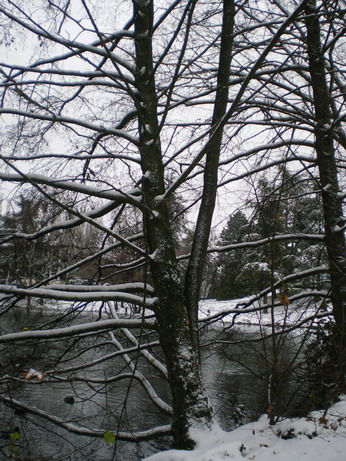 c0124619_21393132.jpg