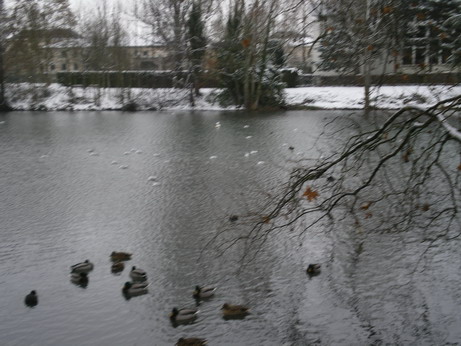 c0124619_21401369.jpg