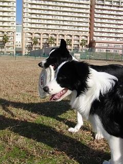 e0179321_20142175.jpg