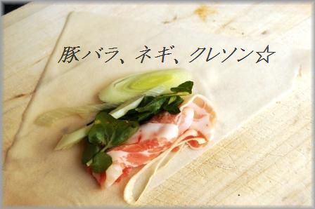 かりかり☆ねぎ豚春巻き_d0104926_239111.jpg