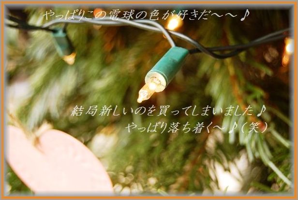 かりかり☆ねぎ豚春巻き_d0104926_251467.jpg