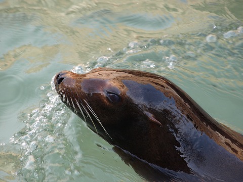動物園&故障_c0077531_023551.jpg