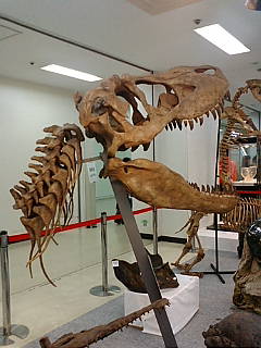 f0195131_143622.jpg