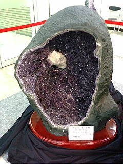f0195131_1585195.jpg