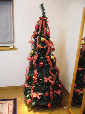 満員御礼でメリークリスマス_d0152937_2284222.jpg