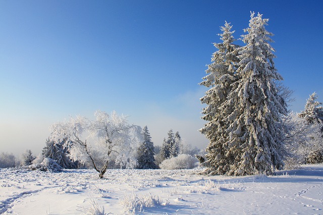 冬の山_c0153740_4192993.jpg