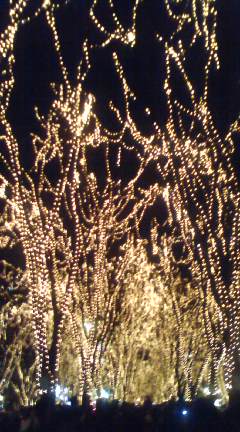 c0084146_21172027.jpg