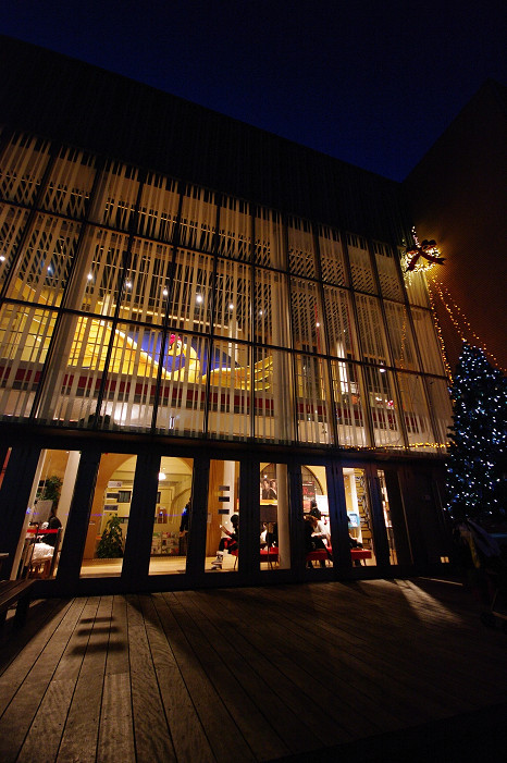 2009イルミネーション Ⅱ 新風館と..._f0152550_092676.jpg