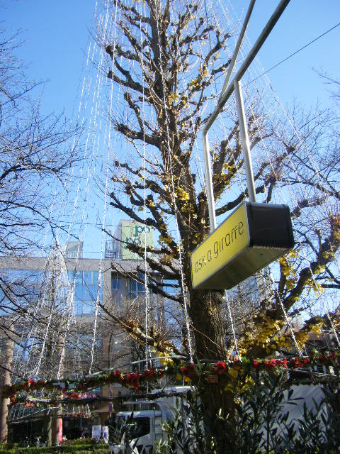 穏やかな日曜日。_b0077451_2232071.jpg
