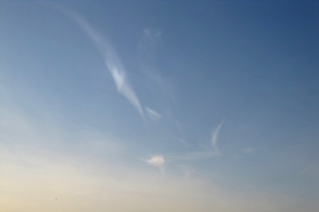 b0173754_3101653.jpg
