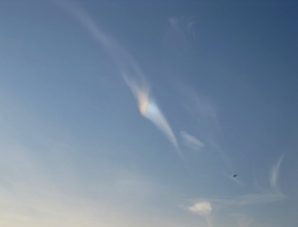 b0173754_314432.jpg