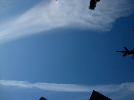 b0173754_3281189.jpg